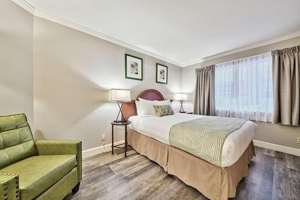 Forest Suites Resort South Lake Tahoe Chambre photo